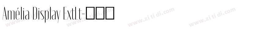 Amélia Display ExtLt字体转换